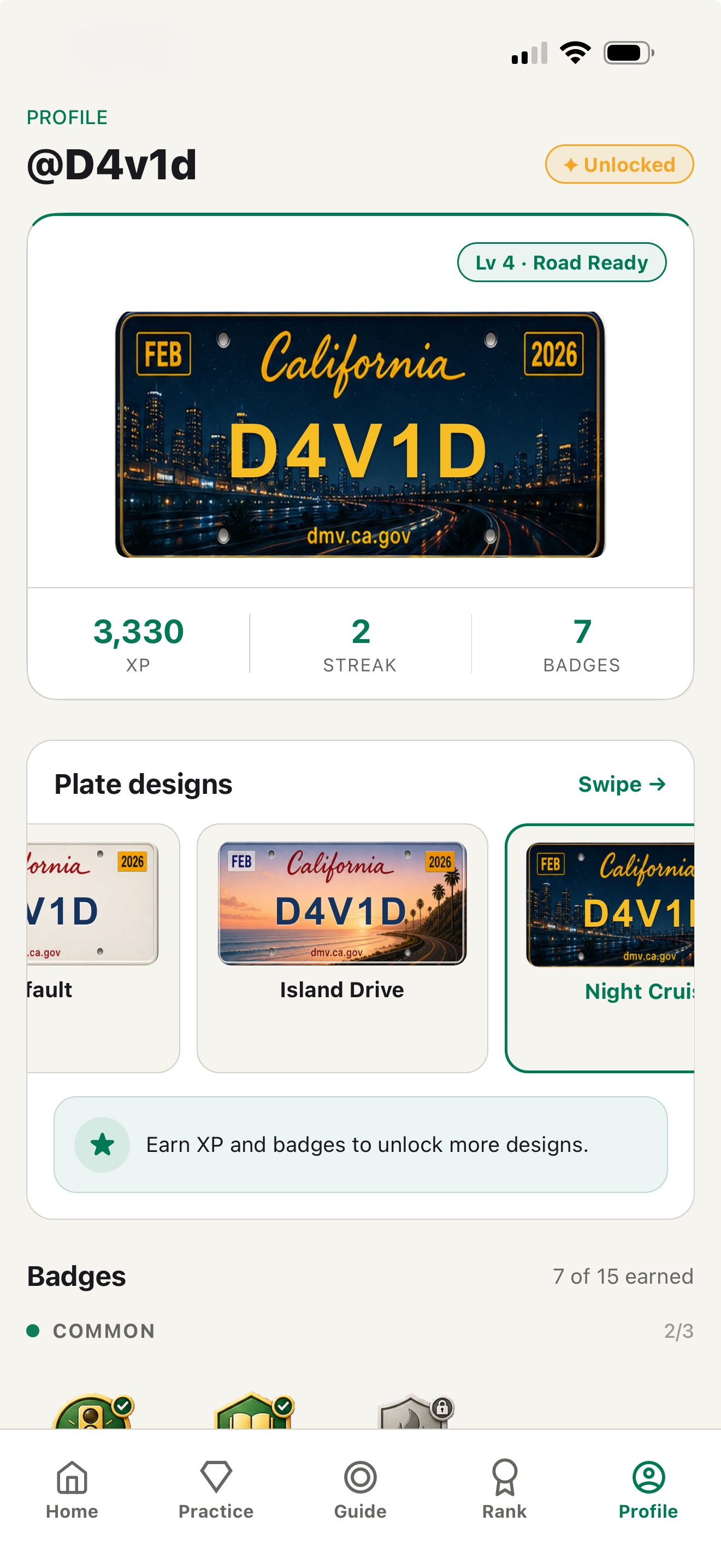 Profile and plate skins